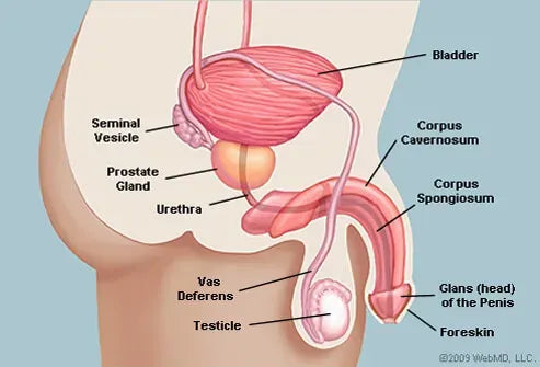 Complete Enlargement